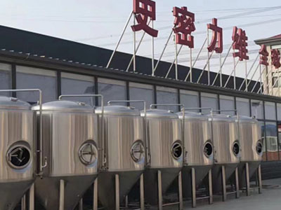 黄南精酿啤酒设备厂—市场规模与跨界新需求